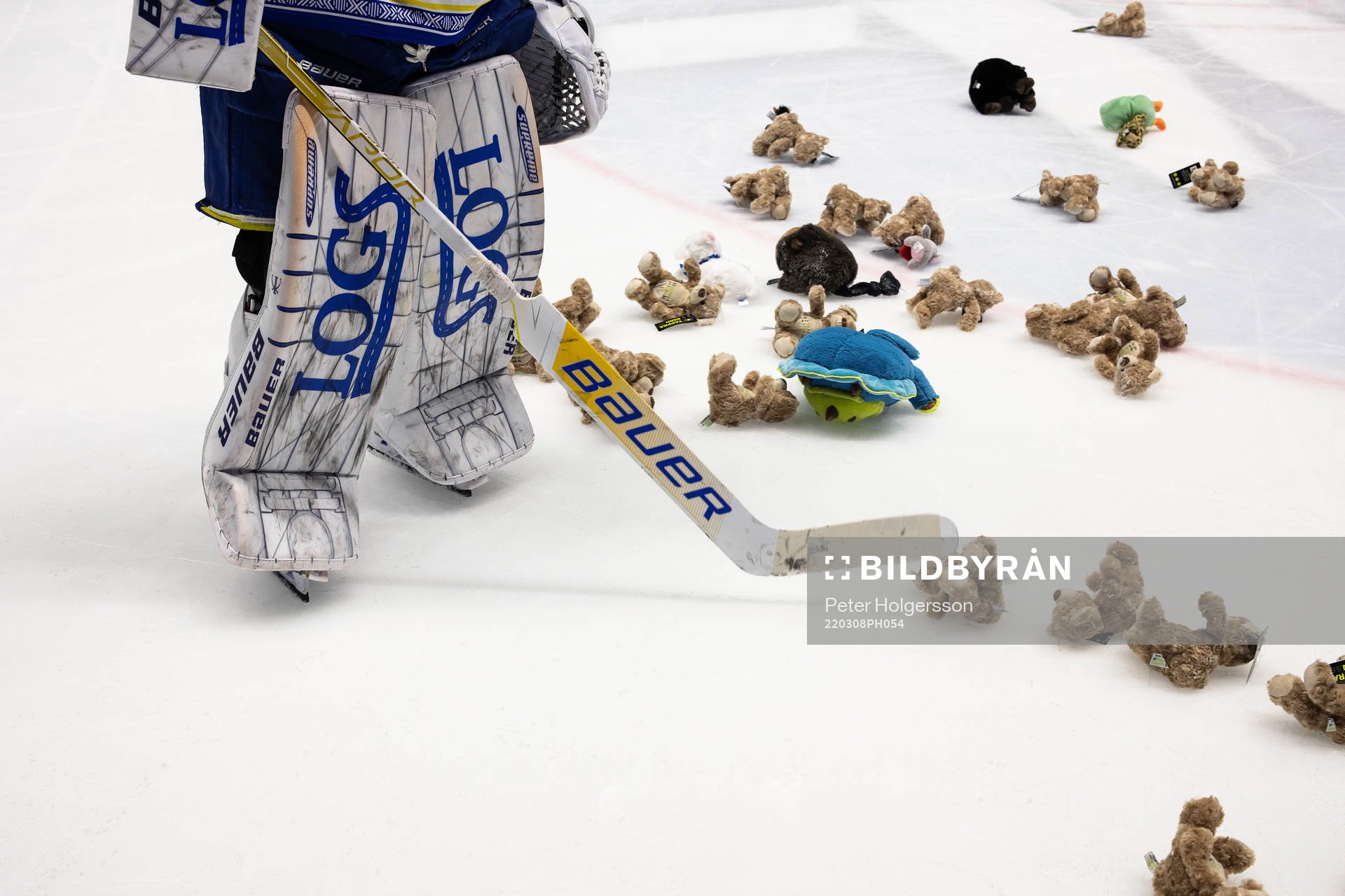 Gosedjur slängs in på isen