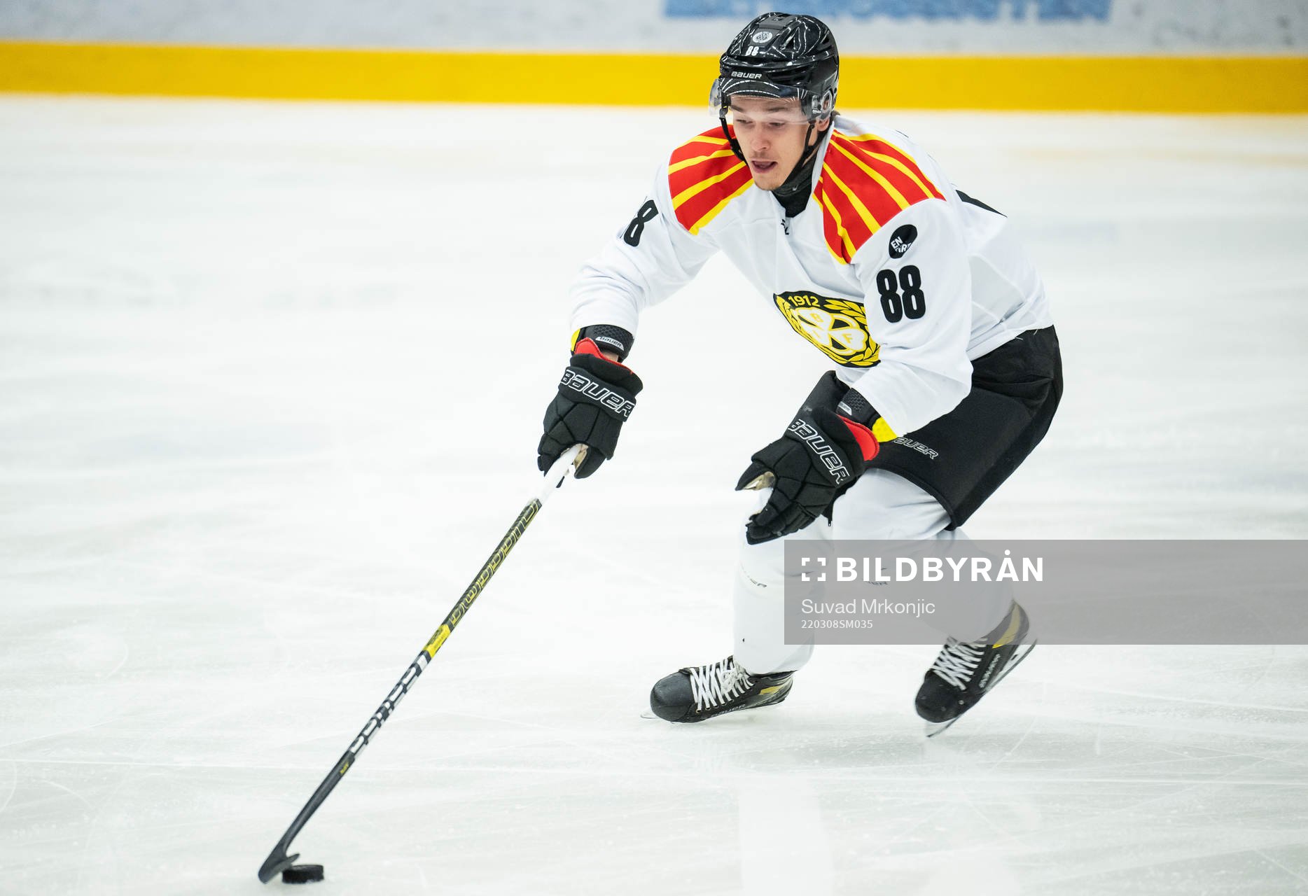 Brynäs Dmytro Timashov