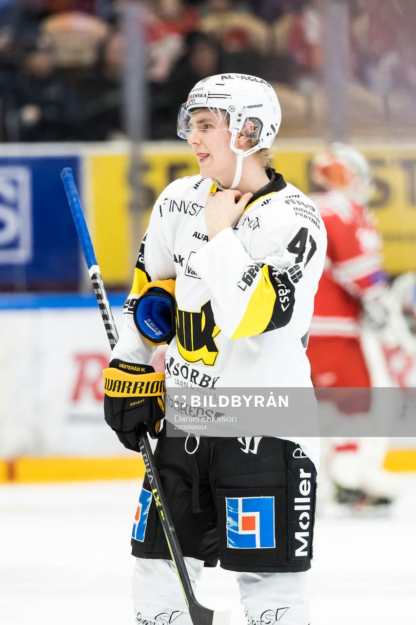Västerås Isak Skedung