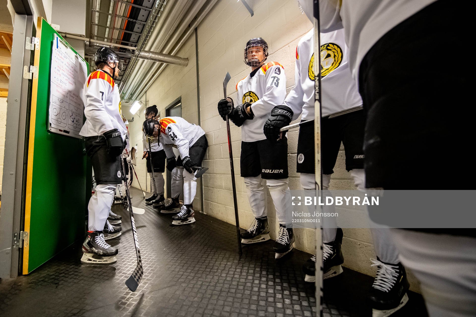 Brynäs spelarna