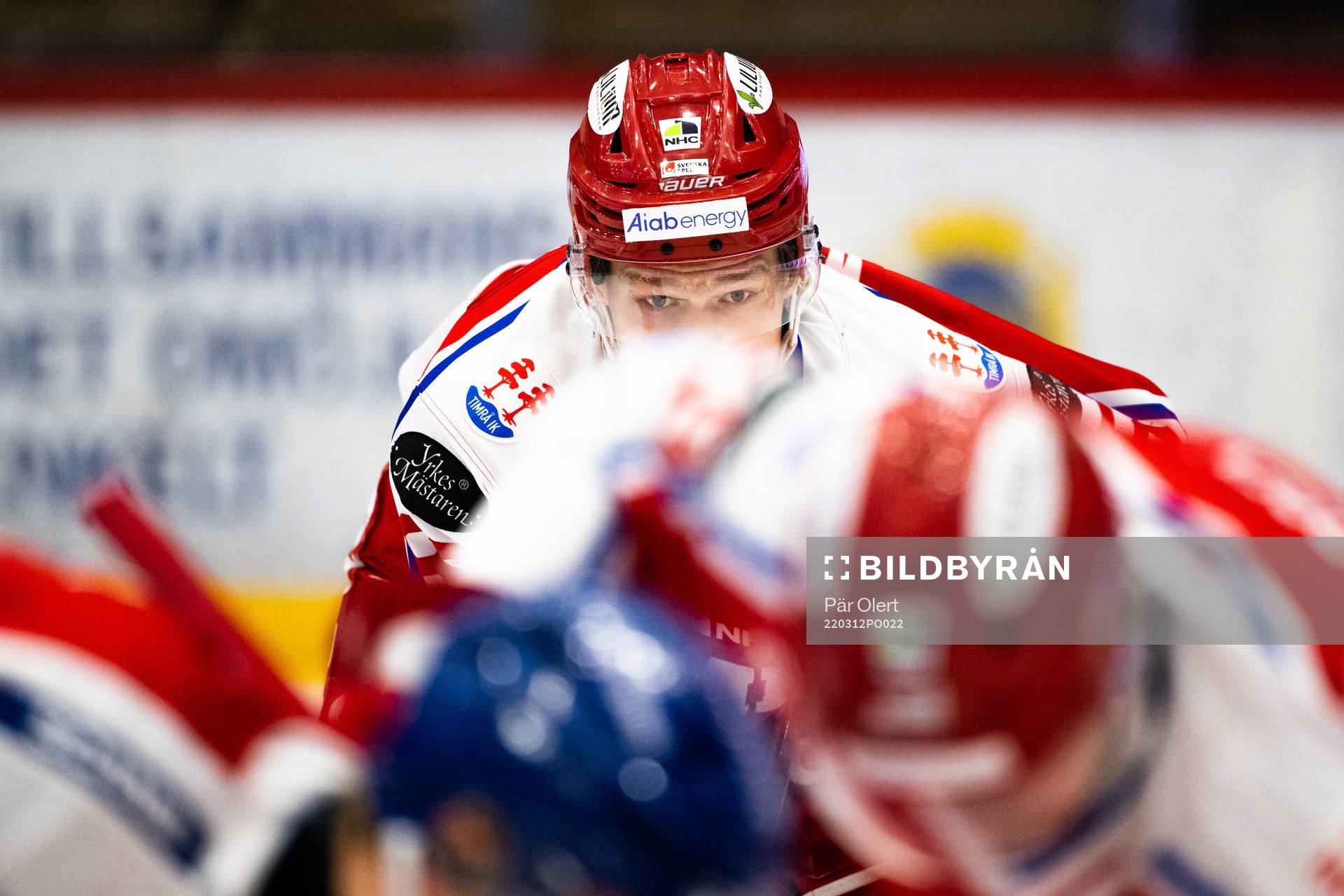 Timrås Filip Westerlund