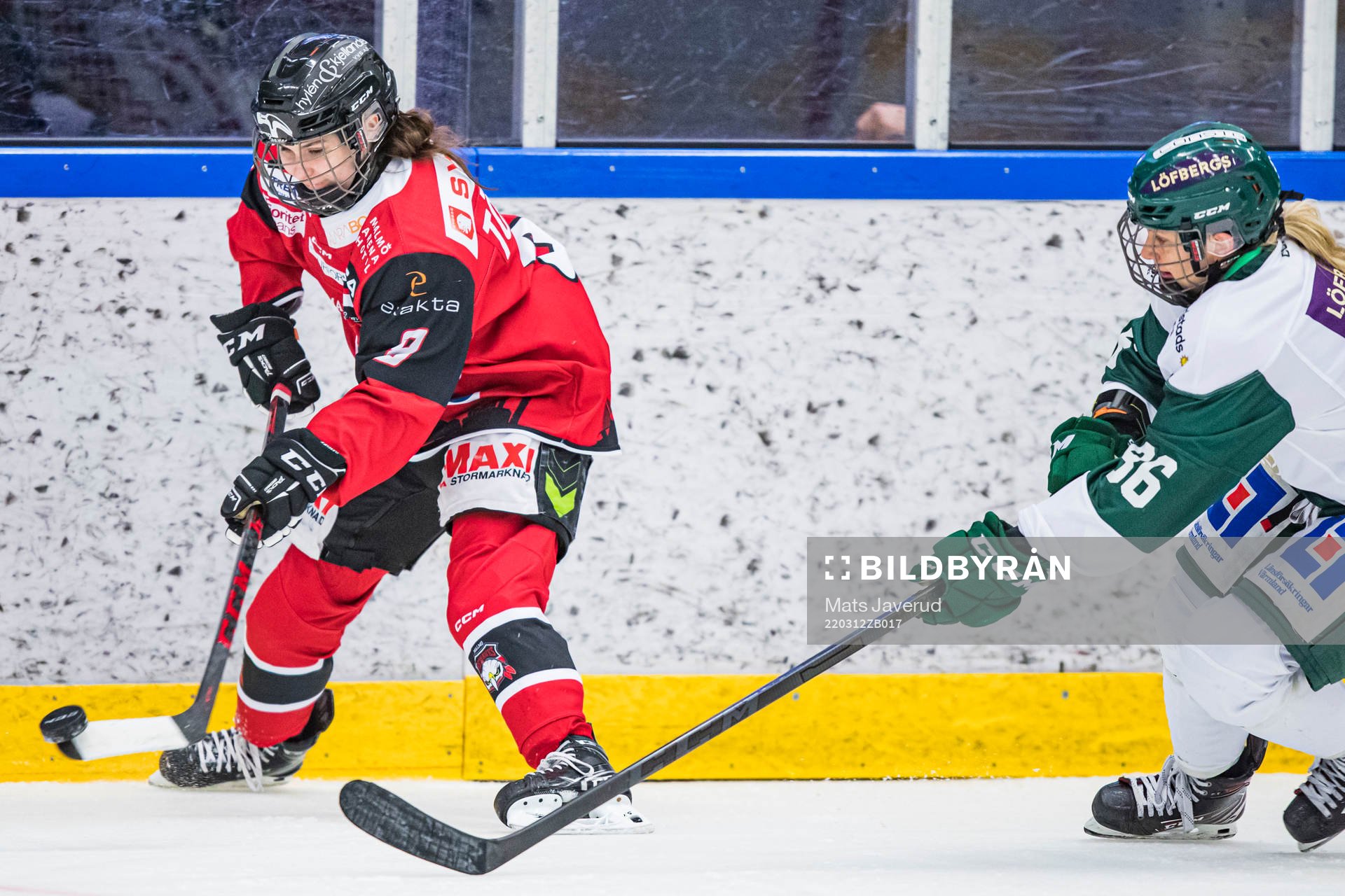 Malmö Redhawks Hilda Törner
