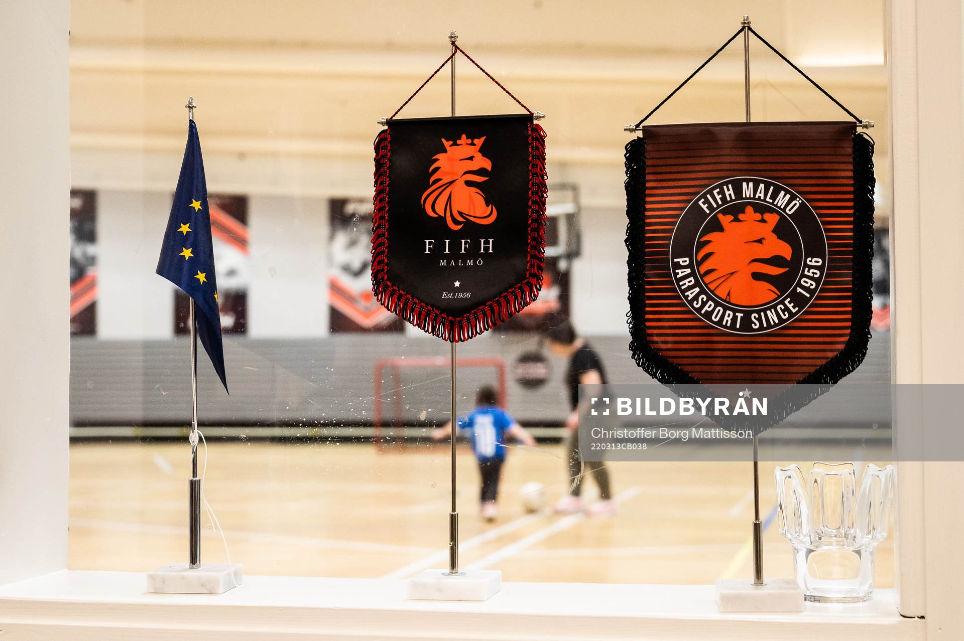 Vimplar i ett fönster ut mot A-hallen i FIFH-hallen