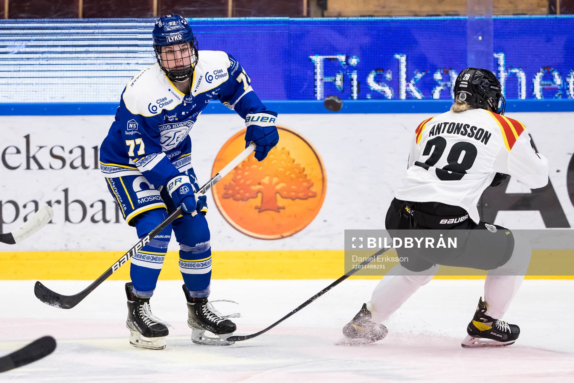 Leksands Celine Tardif
