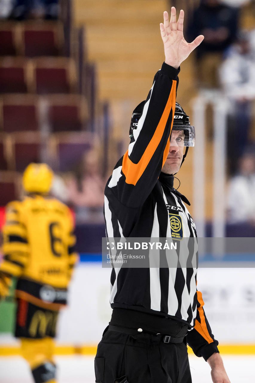 Domare Richard Magnusson