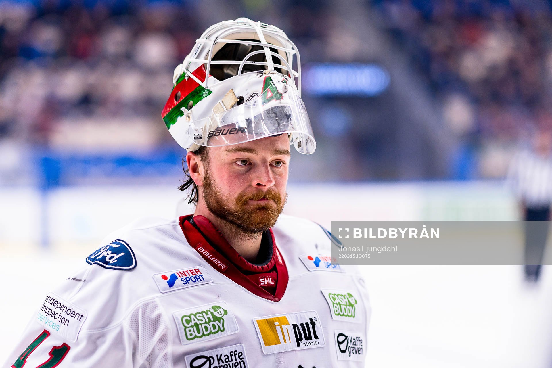 Frölundas målvakt Niklas Rubin