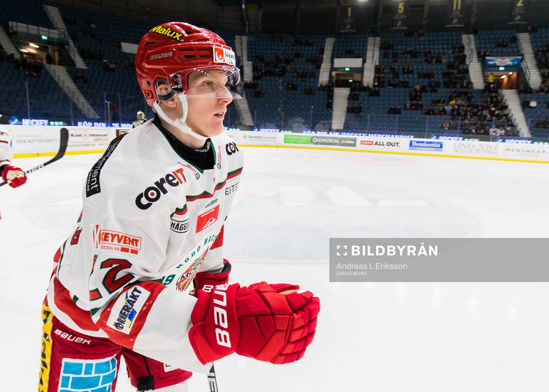Modos Daniel Mannberg jublar