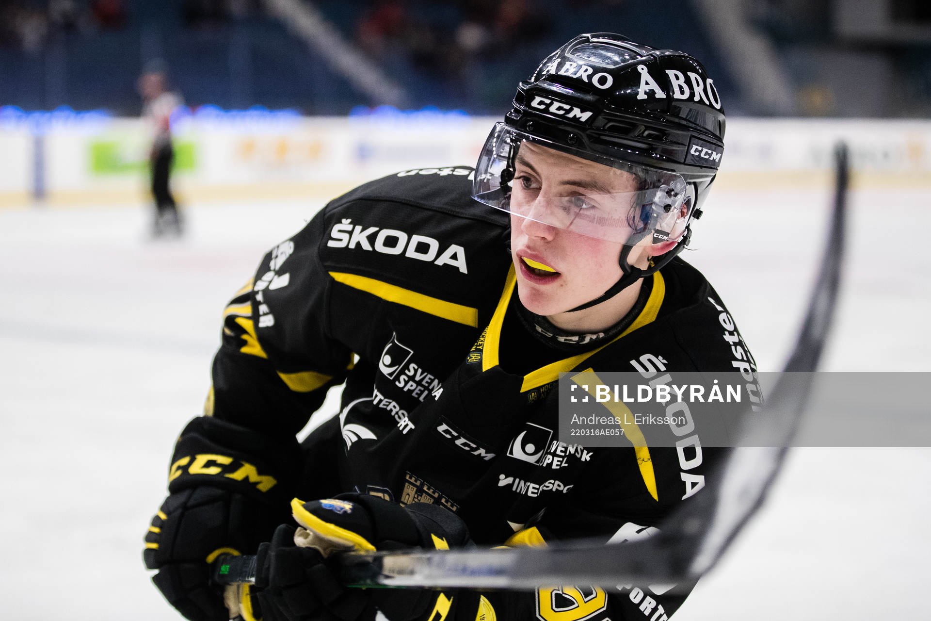 s Sebastian Falk