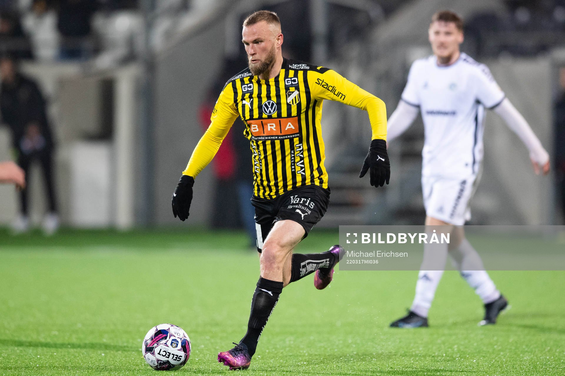 Häckens Alexander Faltsetas