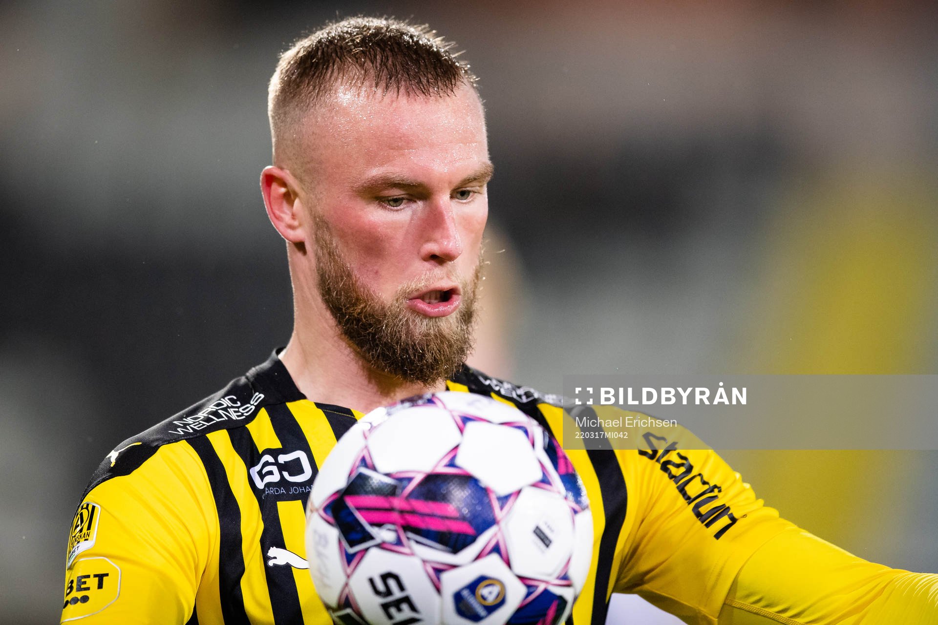 Häckens Alexander Faltsetas