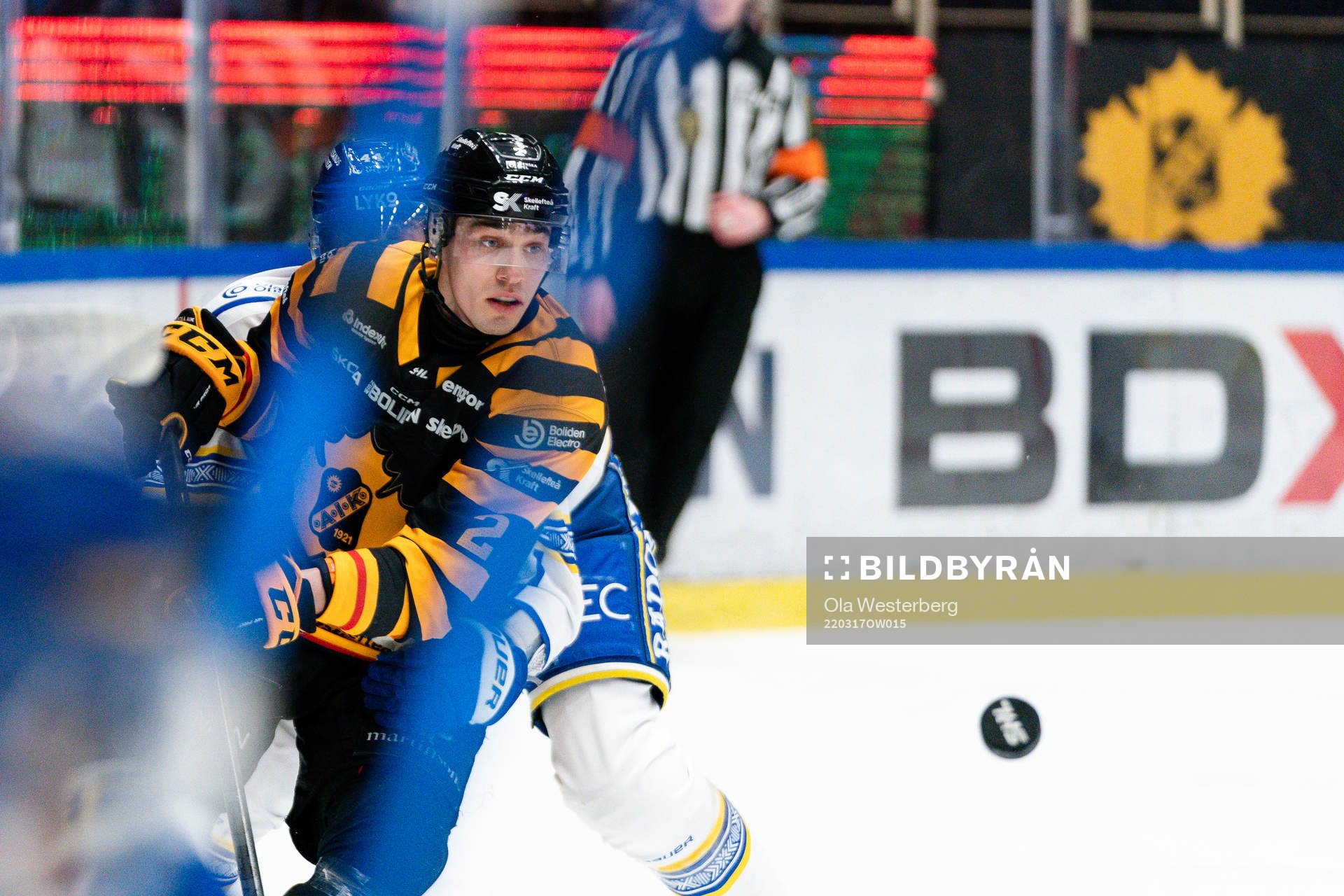 Skellefteås Adam Wilsby