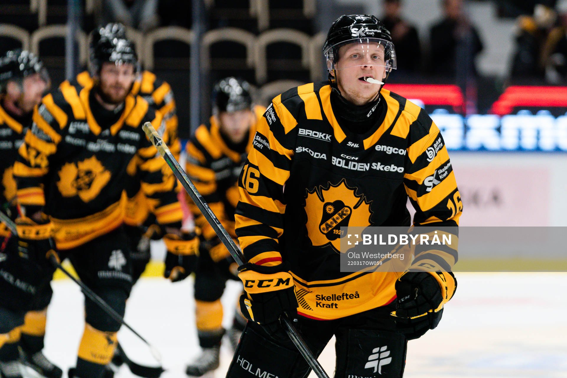 Skellefteås Linus Lindström jublar