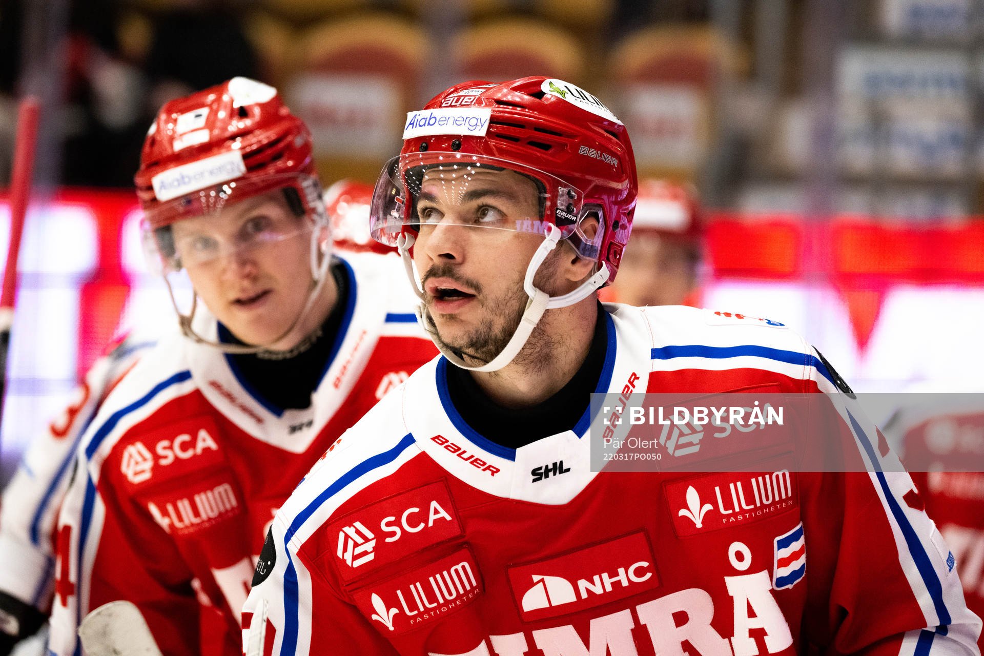 Timrås Ty Rattie