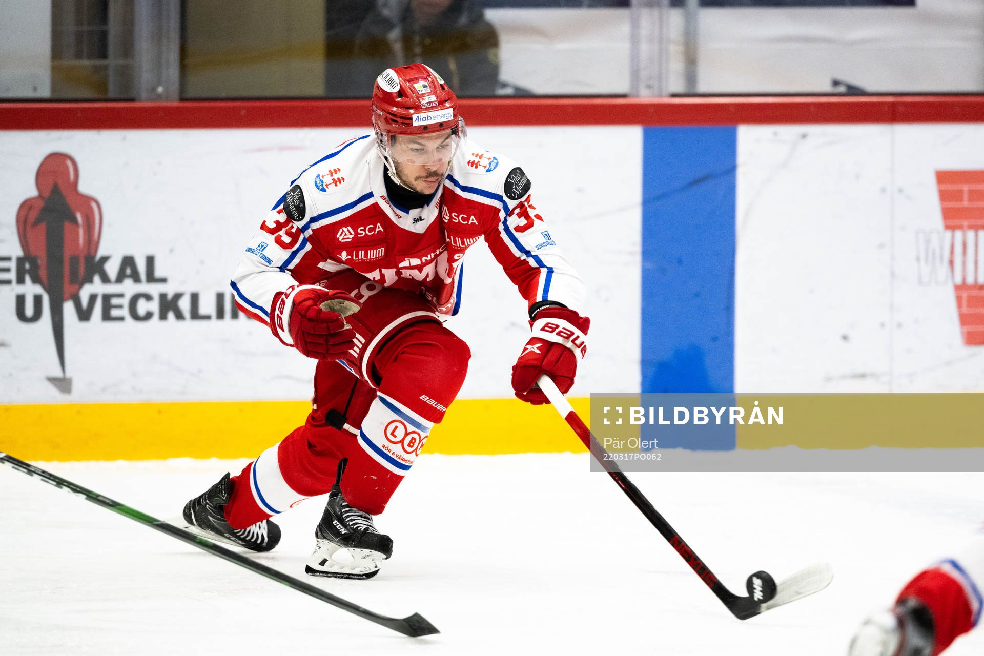 Timrås Ty Rattie