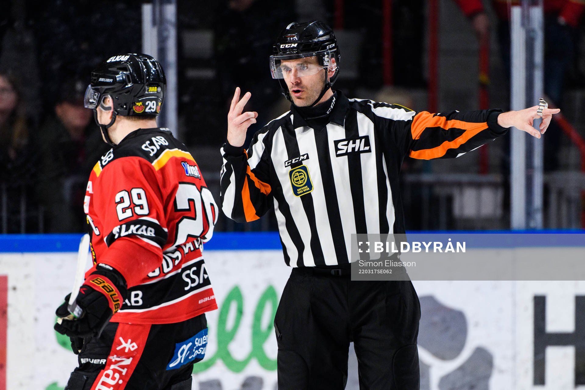 Domare Richard Magnusson