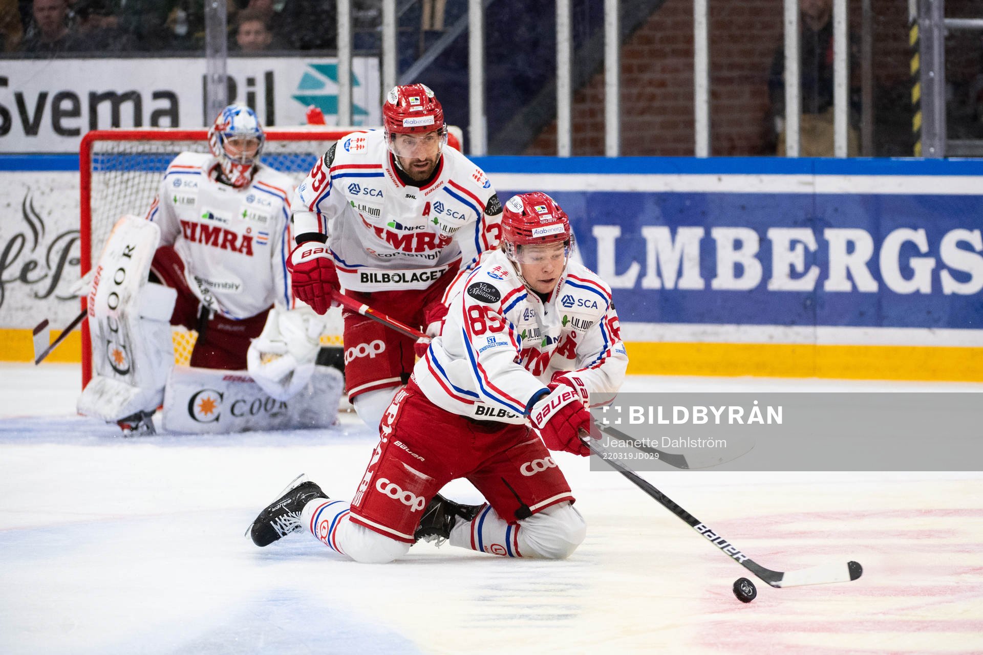 Timrås Albin Lundin och Filip Westerlund