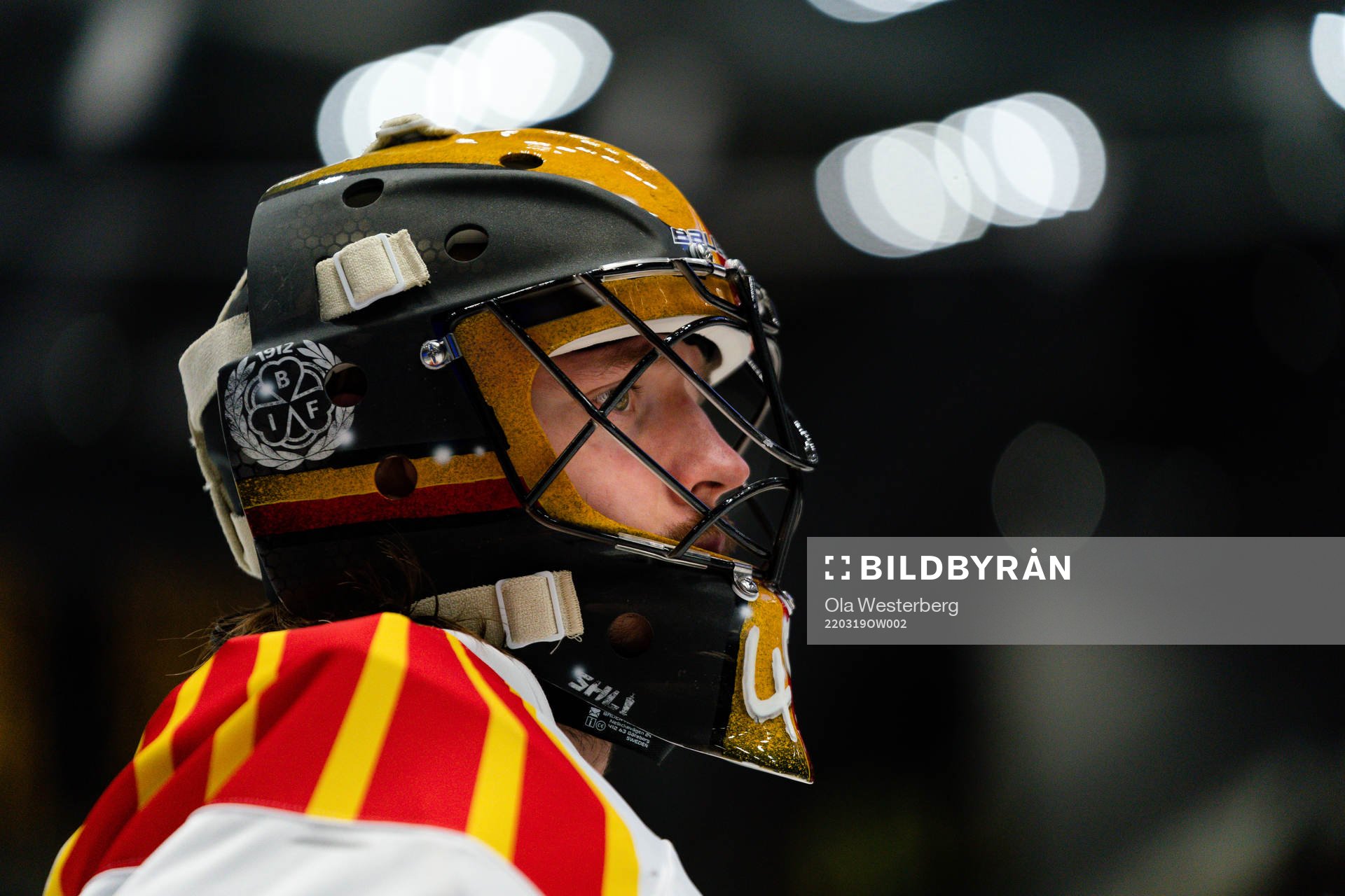 Brynäs målvakt Kristers Gudlevskis