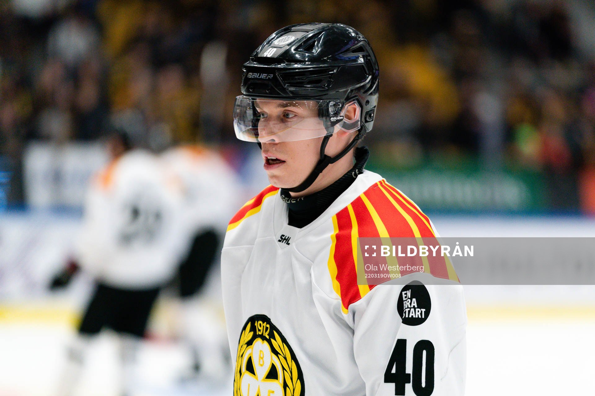 Brynäs Tomi Sallinen