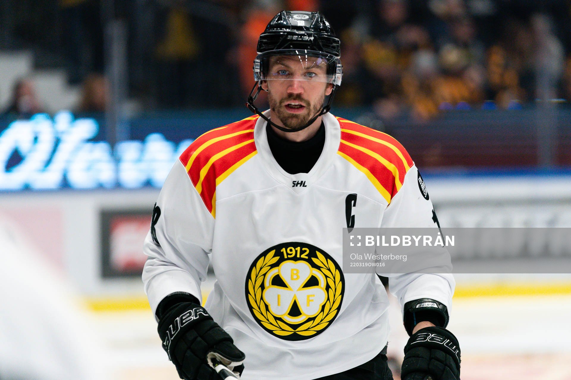 Brynäs Anton Rödin