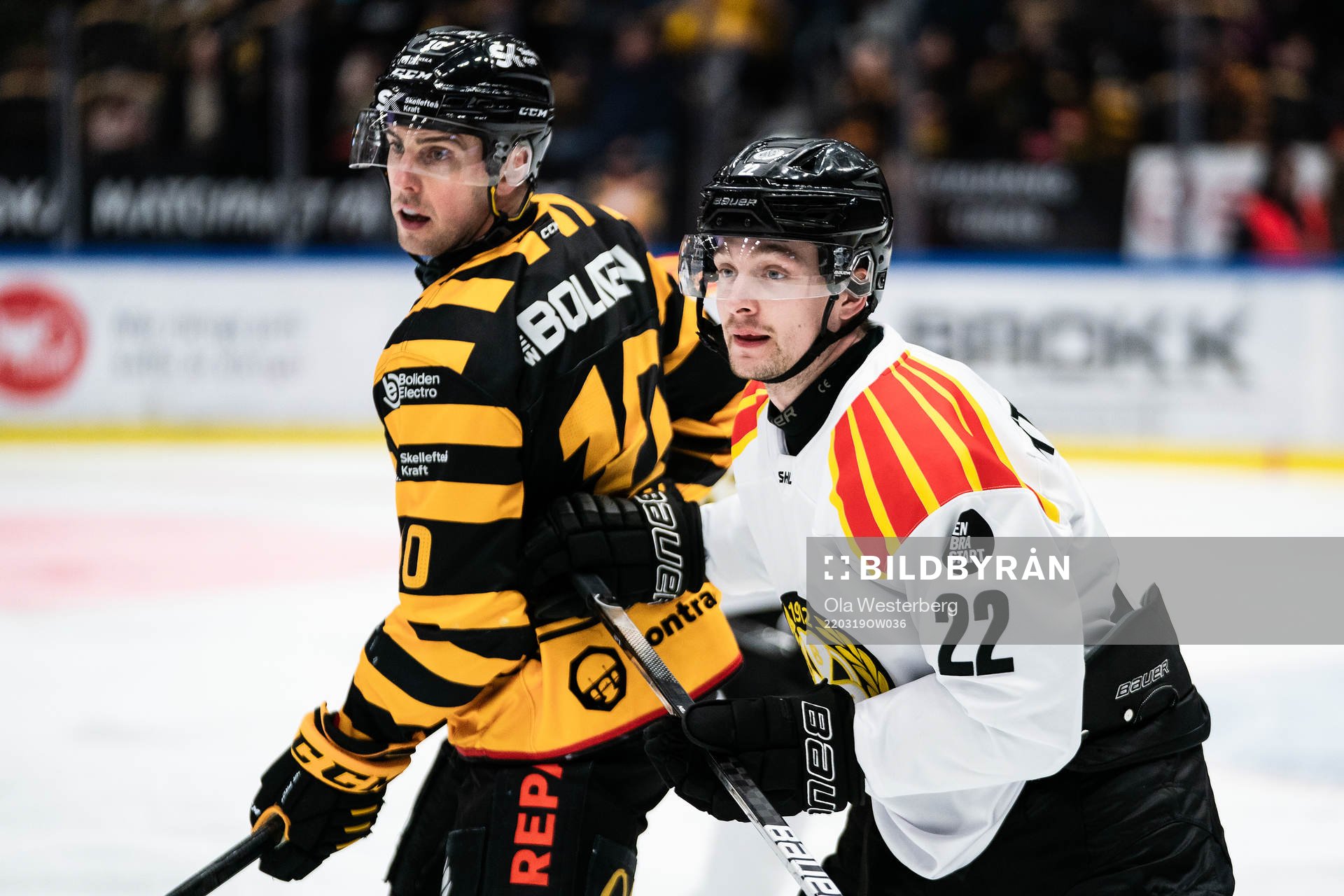 Skellefteås Joakim Lindström och Brynäs Adam Pettersson