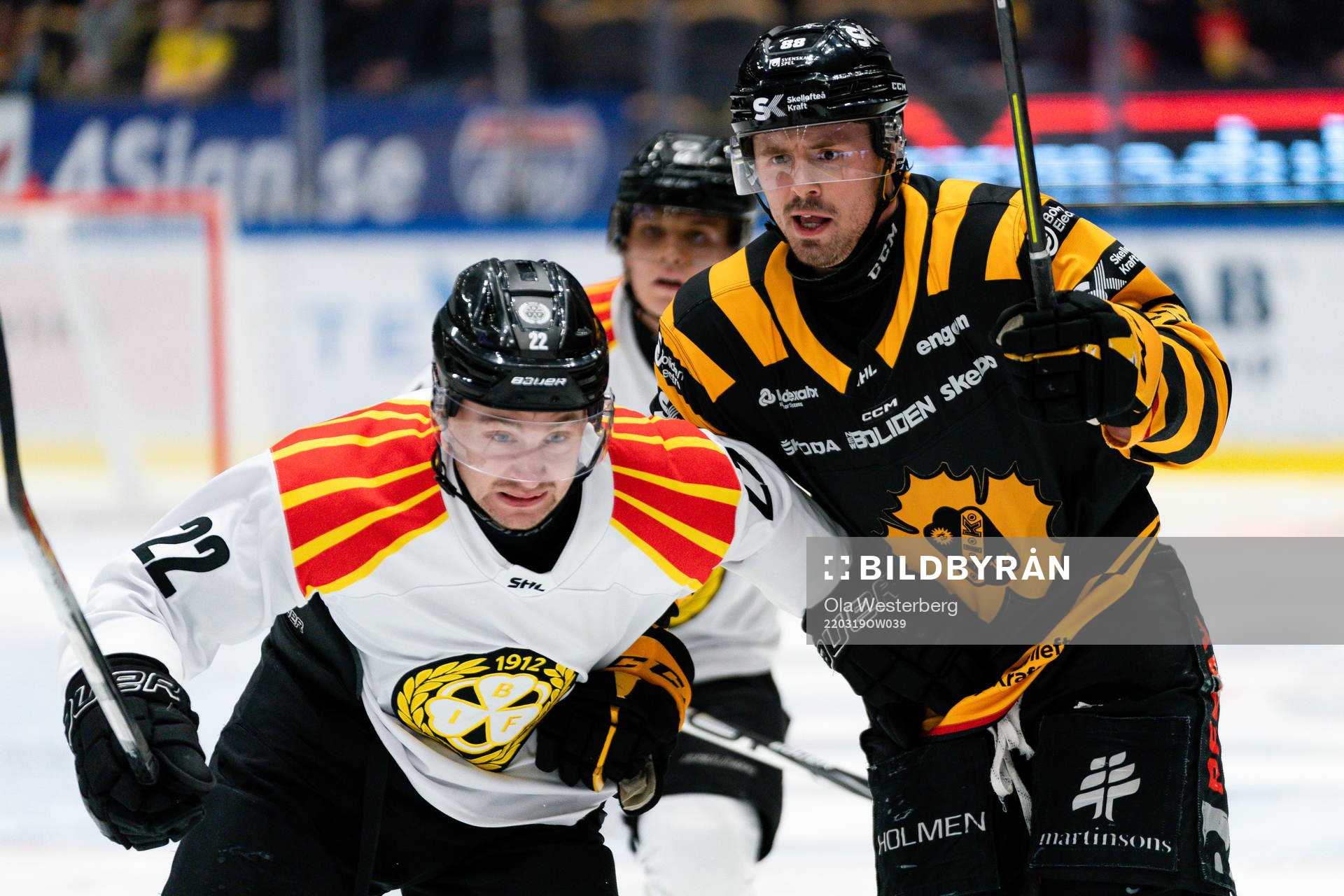 Brynäs Adam Pettersson och Skellefteås Jayce Hawryluk