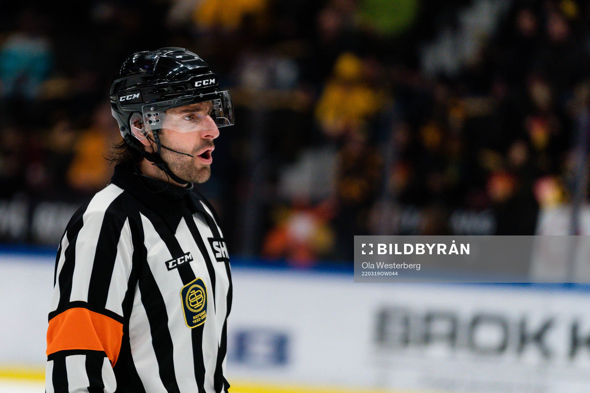 Domare Mikael Sjöqvist