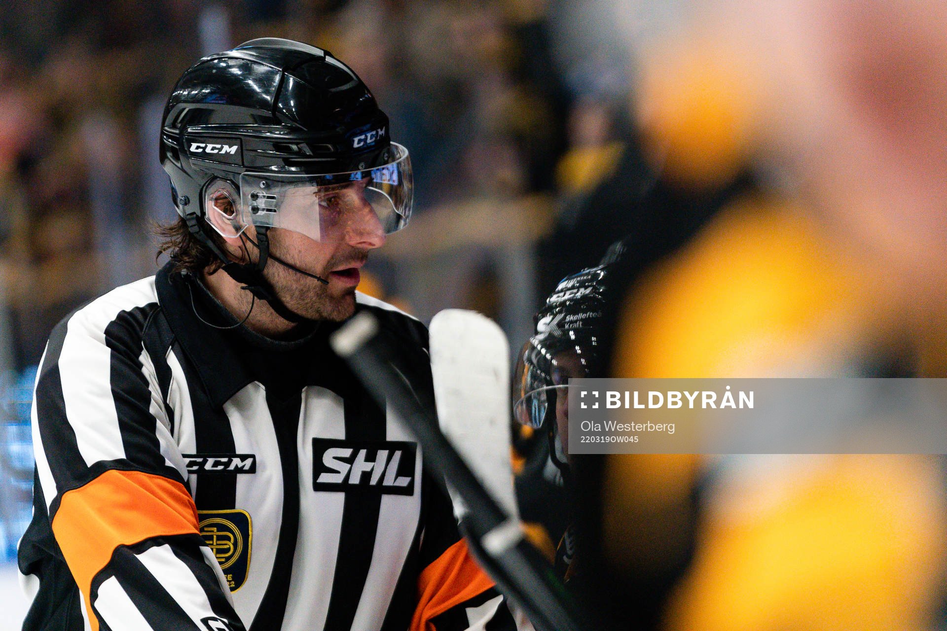 Domare Mikael Sjöqvist