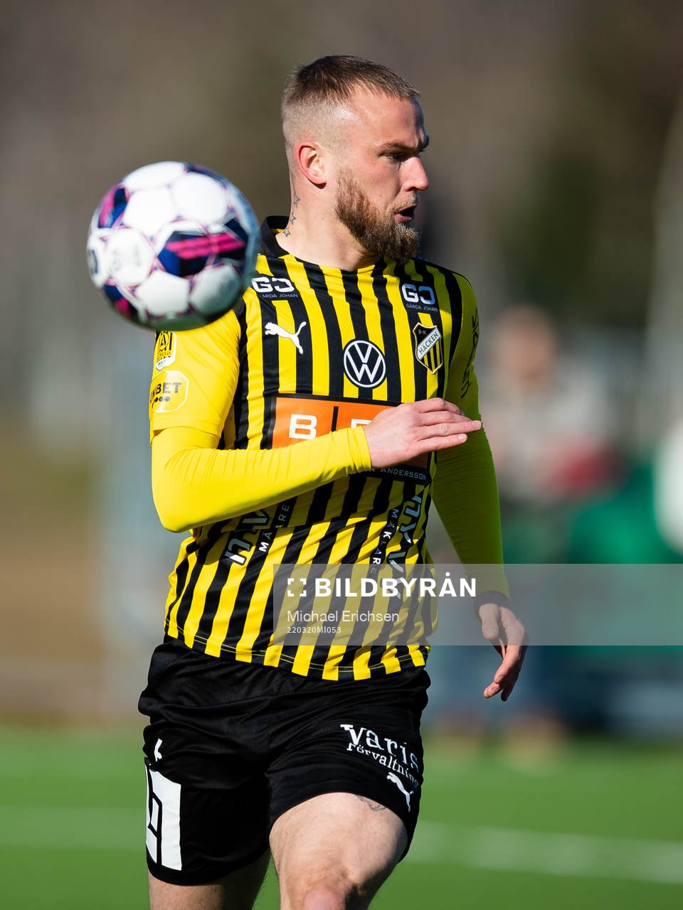 Häckens Alexander Faltsetas