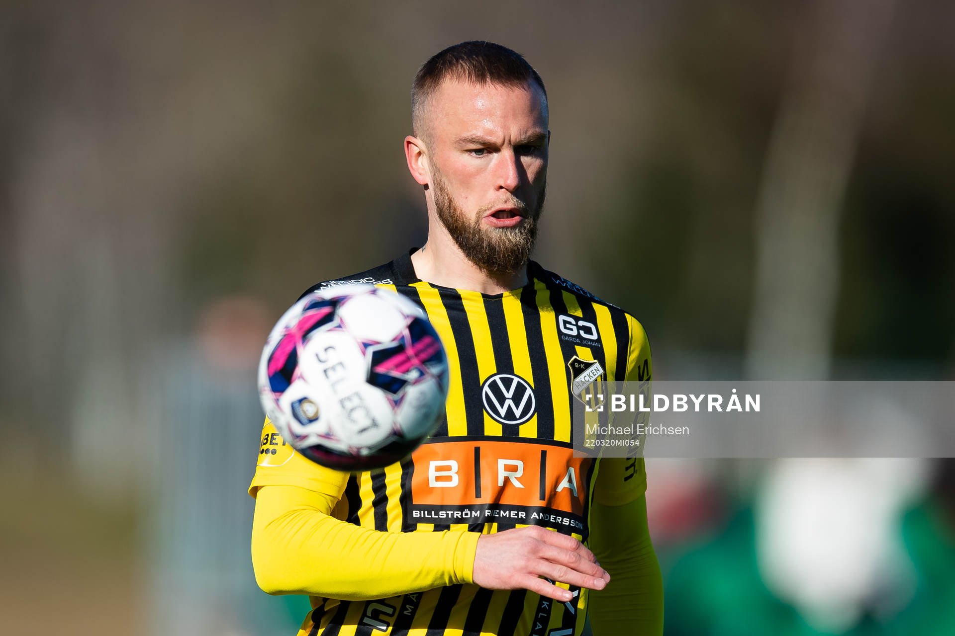 Häckens Alexander Faltsetas