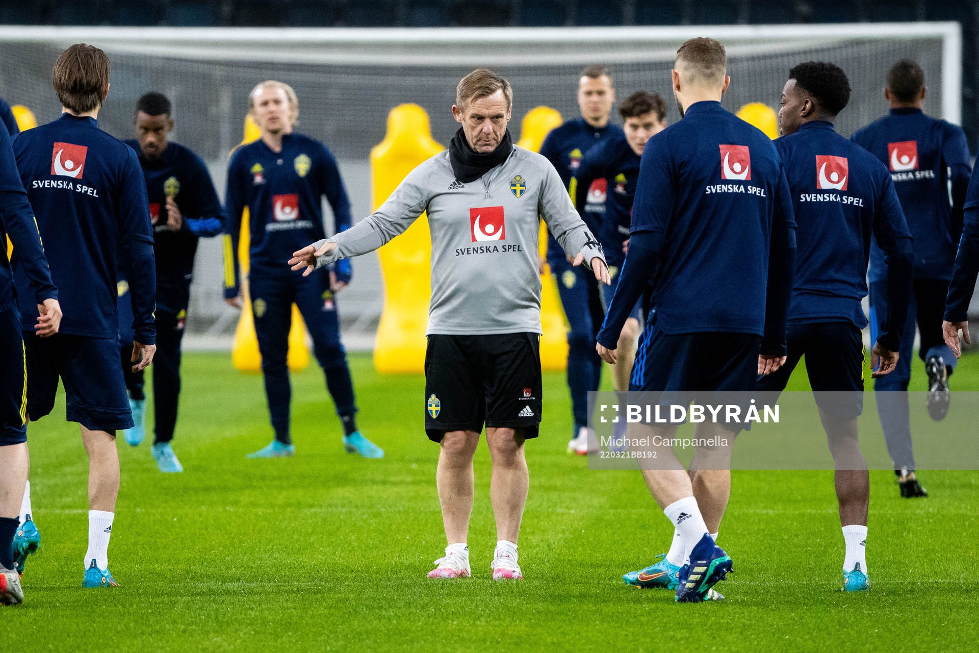 of the Swedish national football team