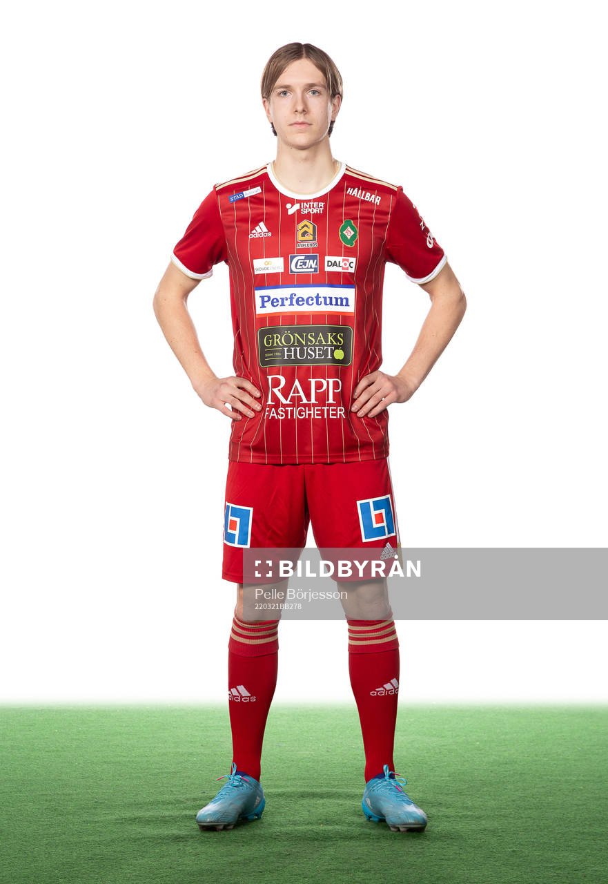 Skövdes David Frisk