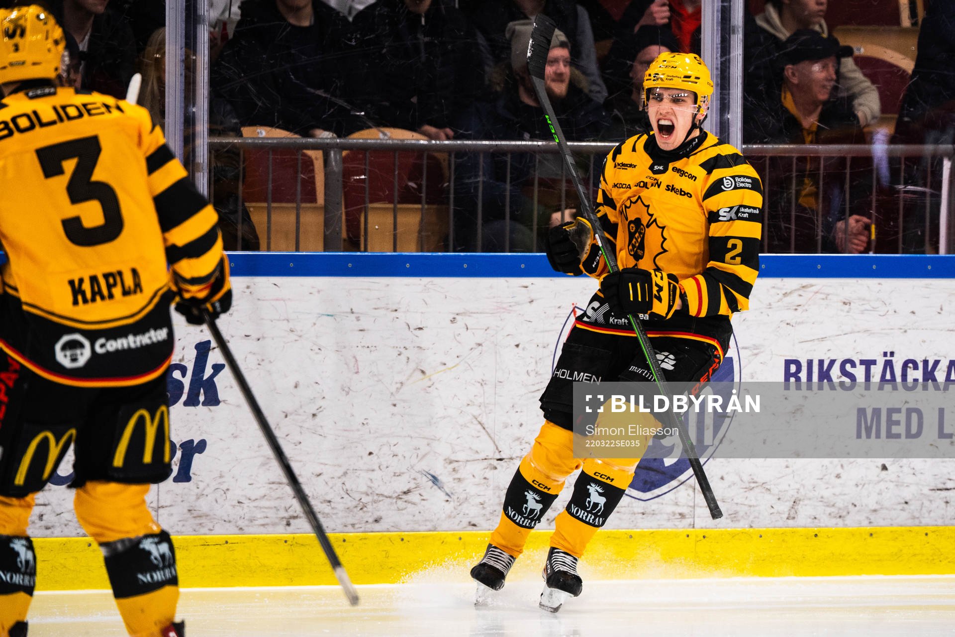 Skellefteås Adam Wilsby jublar