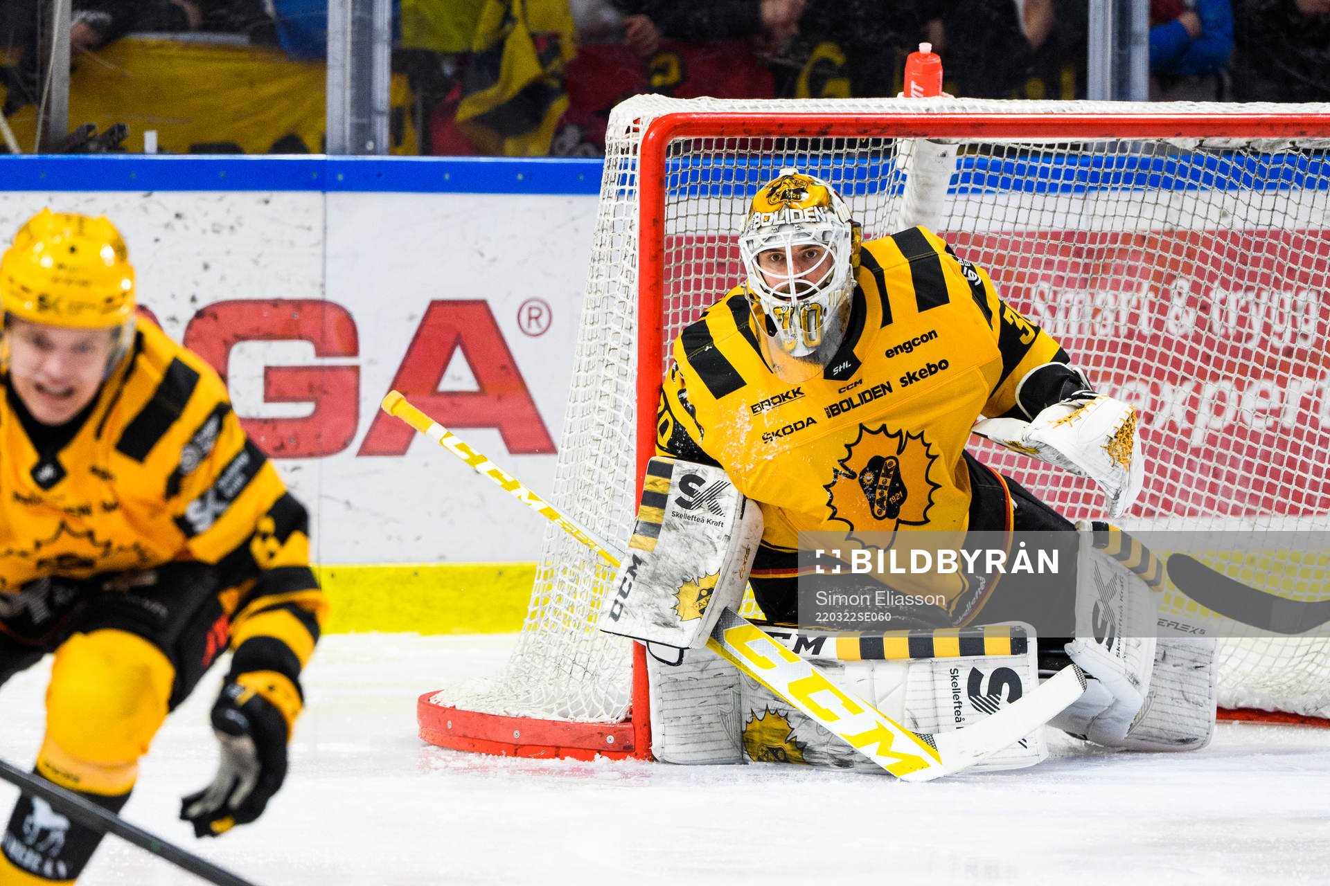 Skellefteås målvakt Gustaf Lindvall