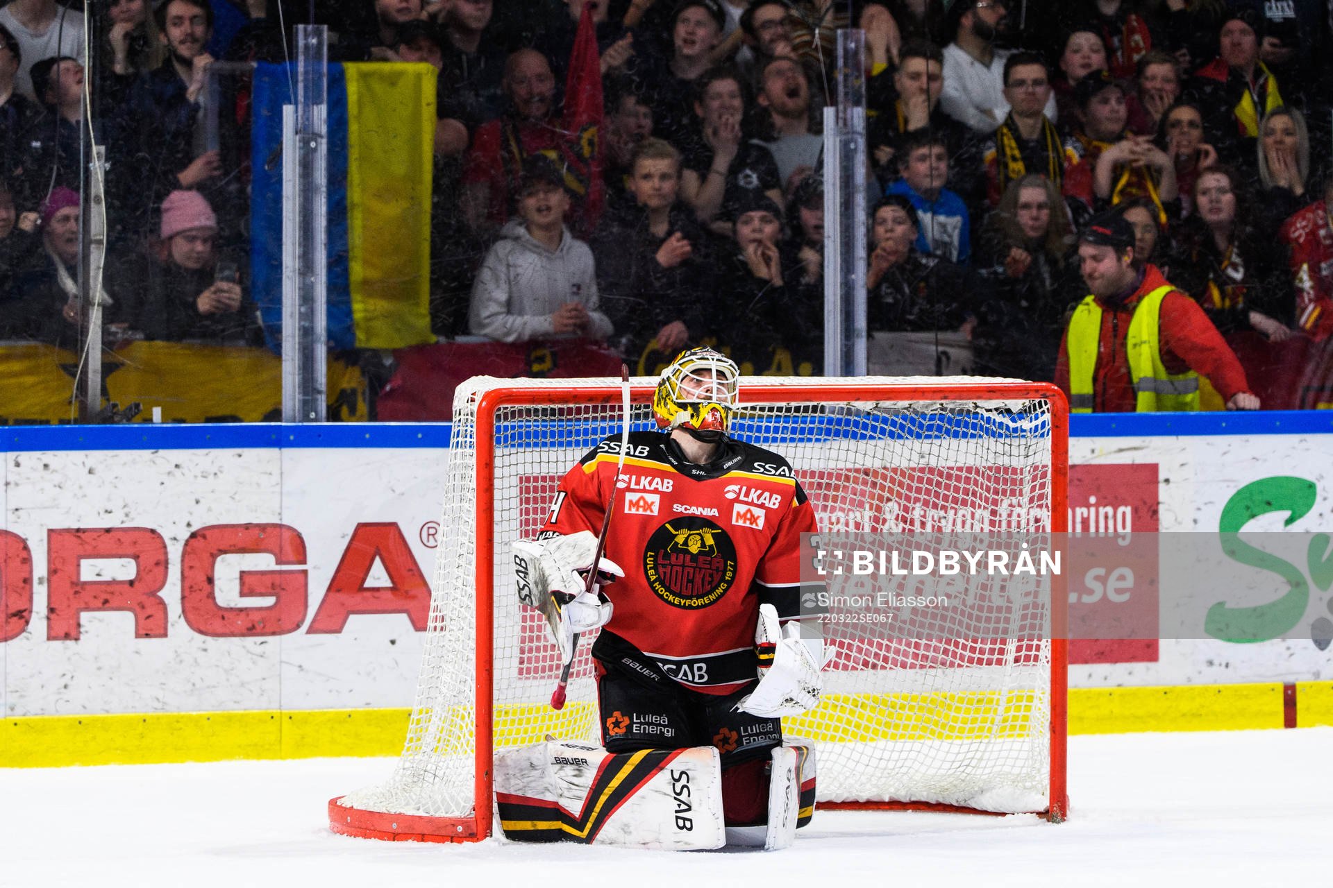 Luleås målvakt Joel Lassinantti deppar