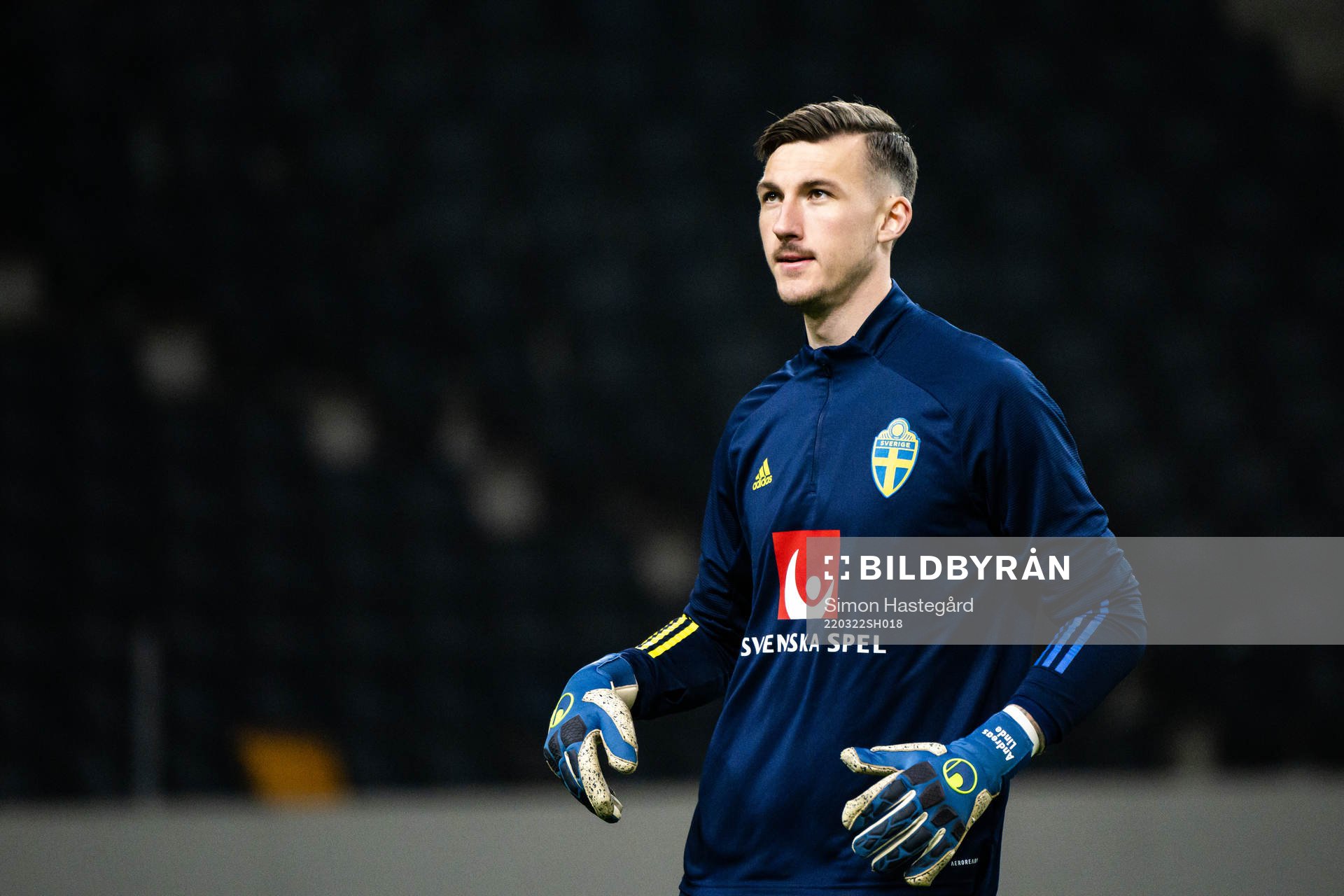 Goalkeeper Andreas Linde of the Swedish national football