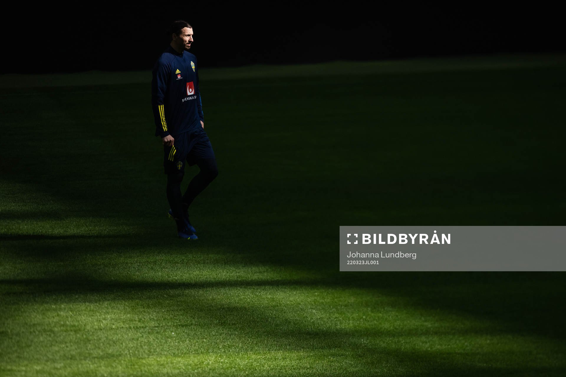 Zlatan Ibrahimovic of the Swedish national football team