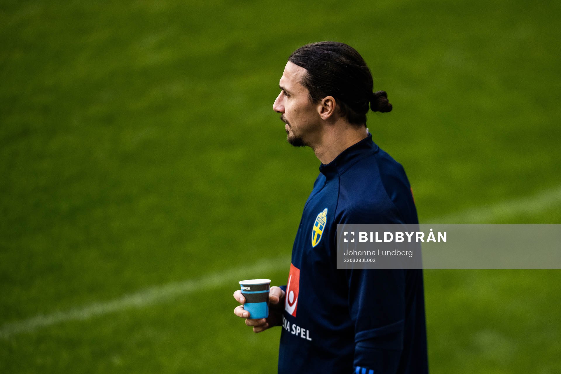 Zlatan Ibrahimovic of the Swedish national football team