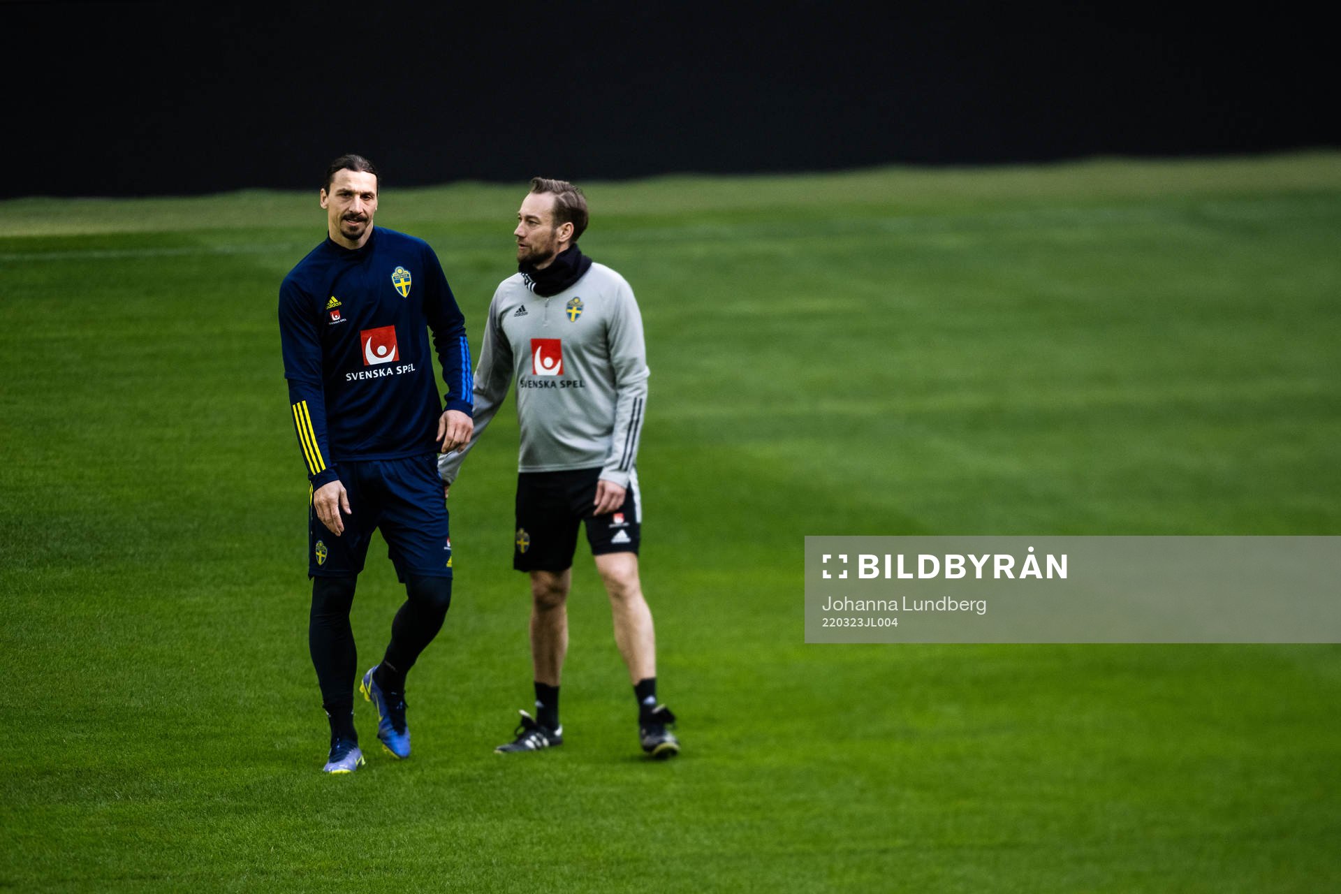 Zlatan Ibrahimovic and Christian Andersson,