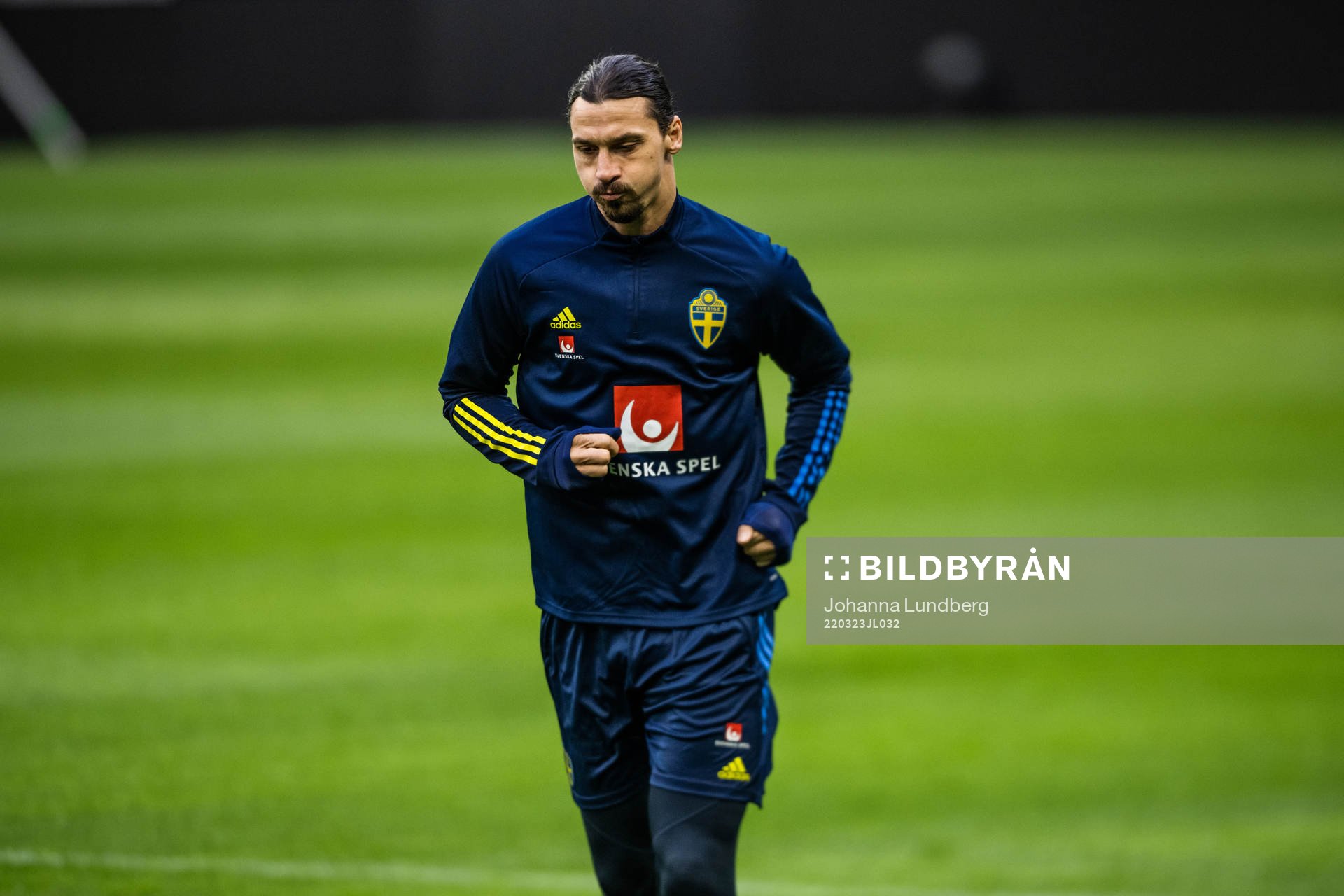 Zlatan Ibrahimovic of the Swedish national football team