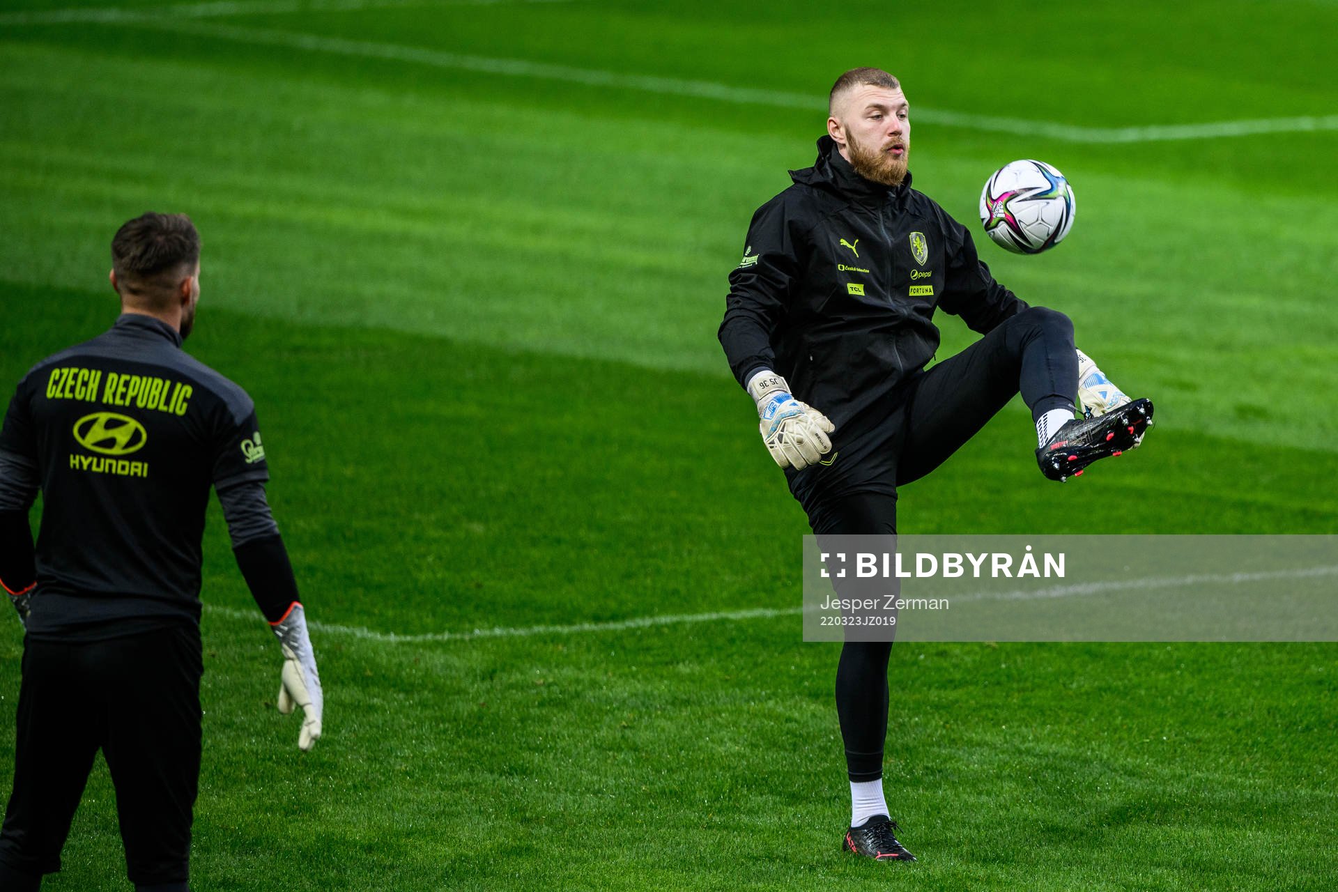 goalkeeper Jindrich Stanek of Czech Republic