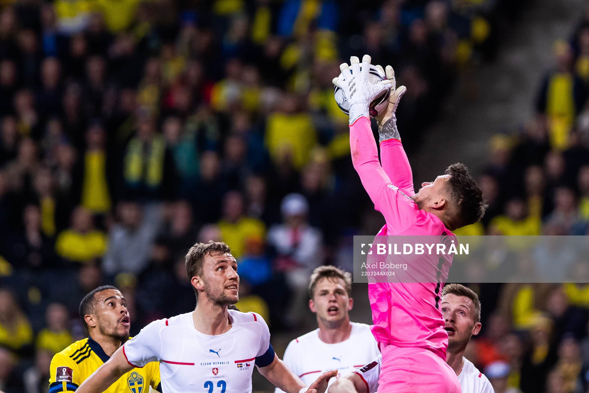 goalkeeper Tomas Vaclik of Czech Republic