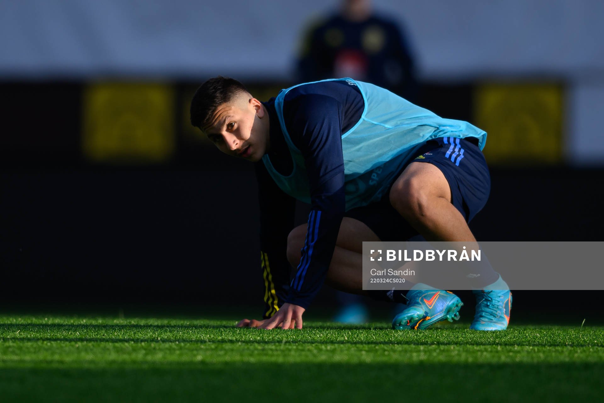 Roony Bardghji