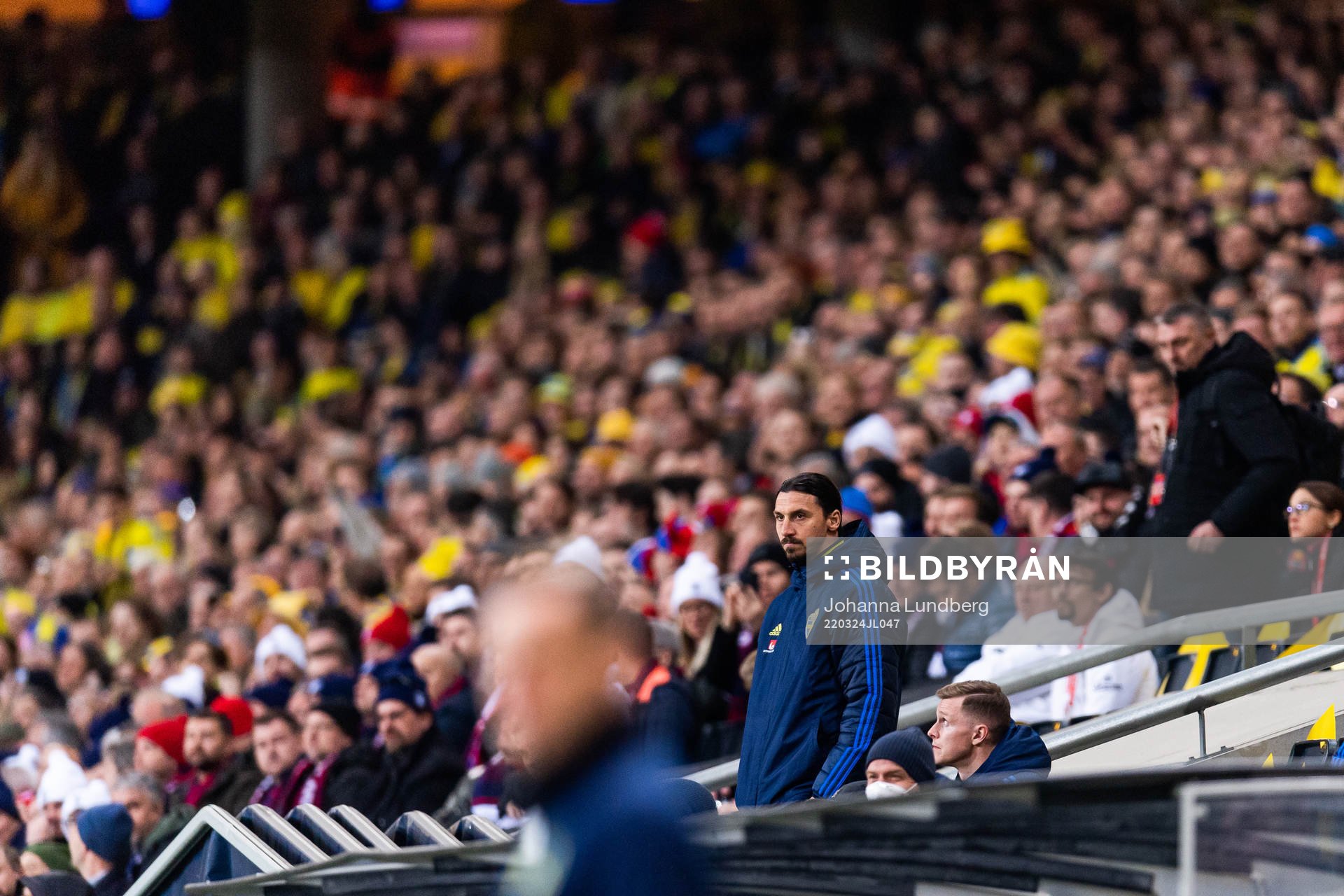 Zlatan Ibrahimovic of Sweden