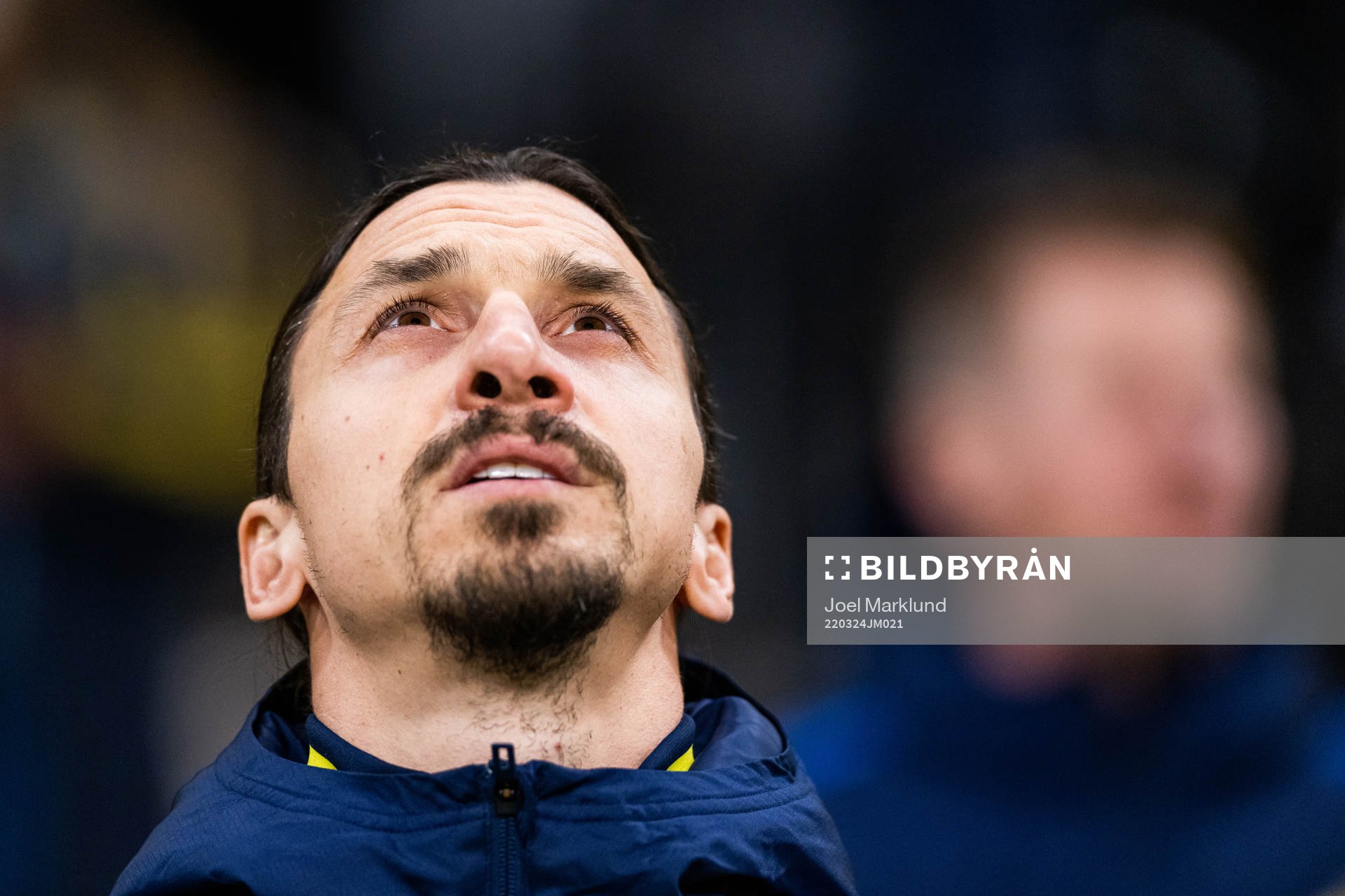 Zlatan Ibrahimovic of Sweden