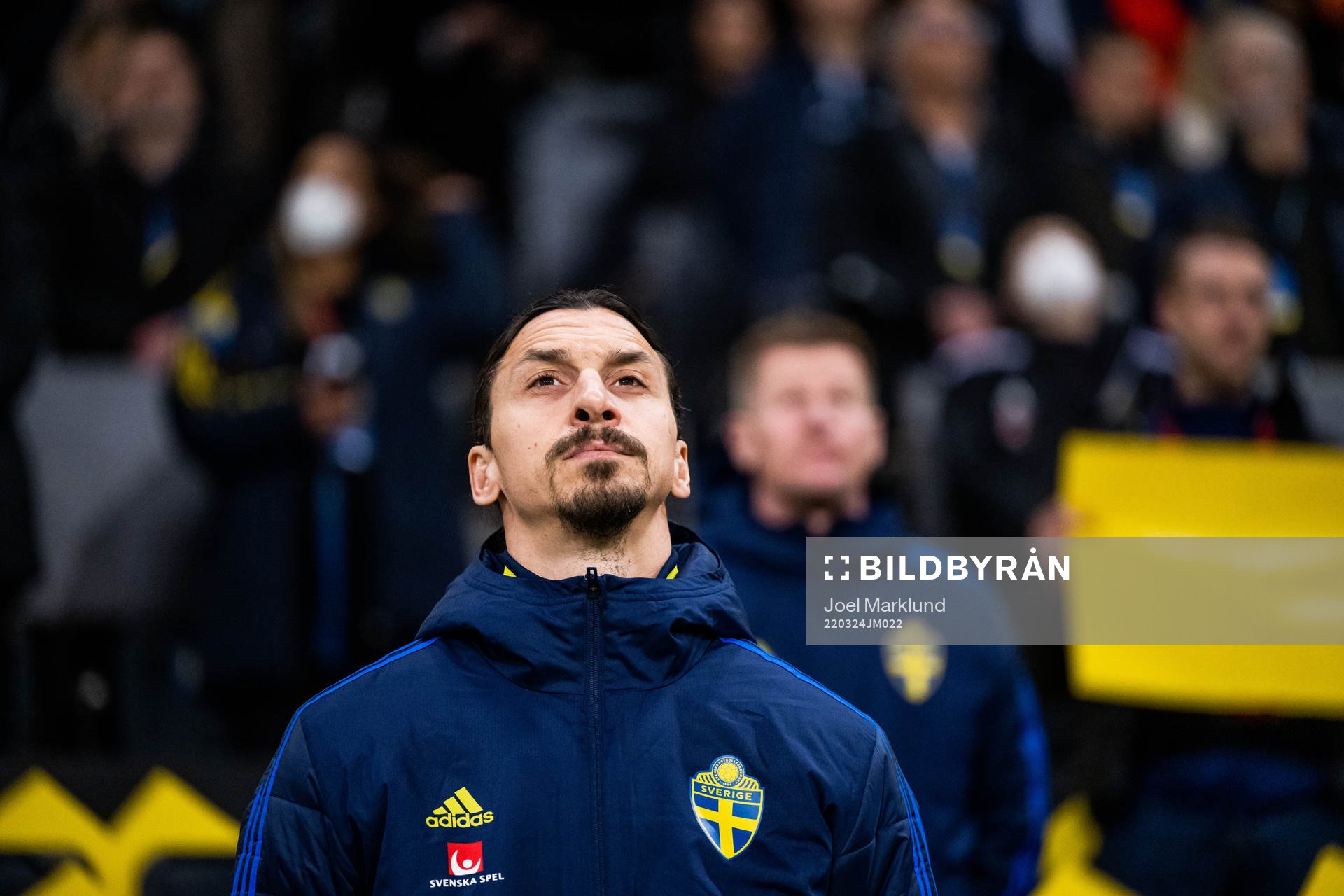 Zlatan Ibrahimovic of Sweden