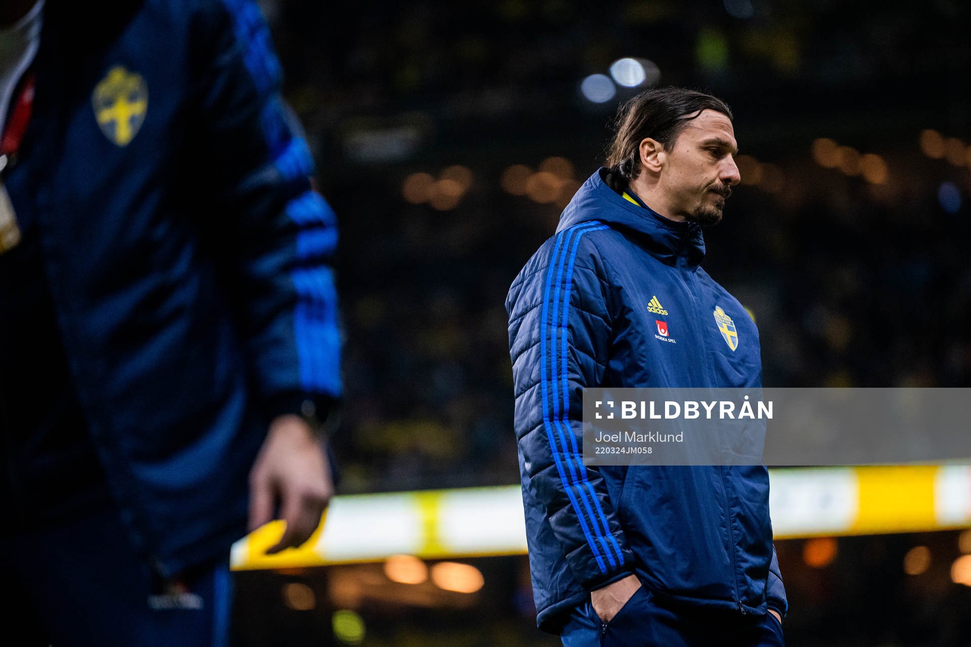 Zlatan Ibrahimovic of Sweden
