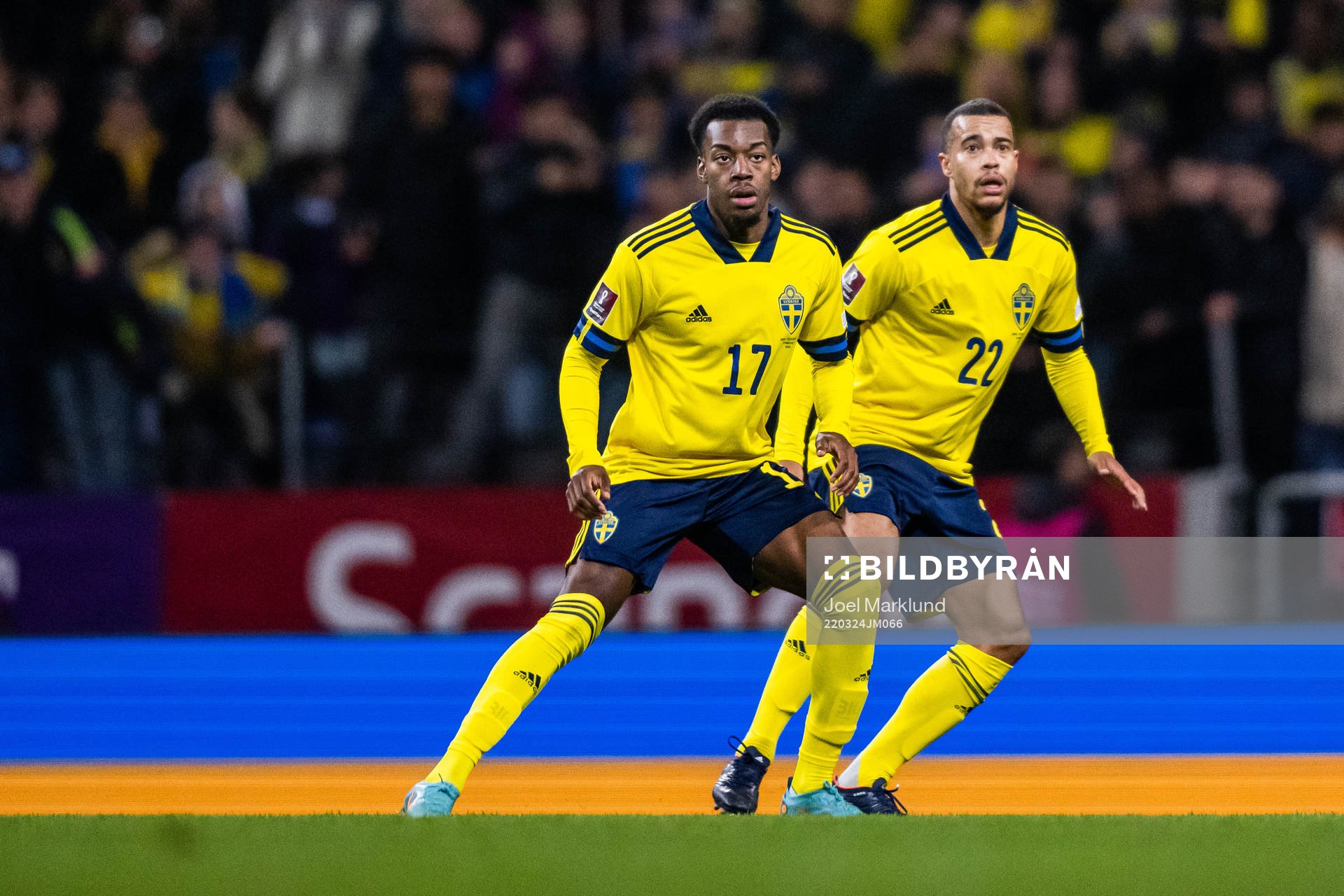 Anthony Elanga and Robin Quaison of Sweden
