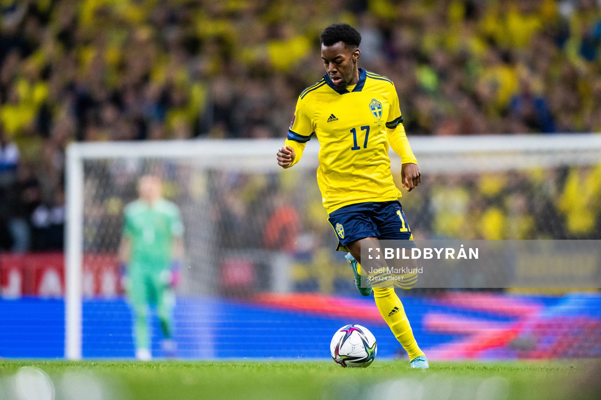 Anthony Elanga of Sweden
