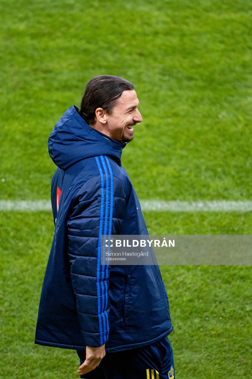 Zlatan Ibrahimovic of Sweden