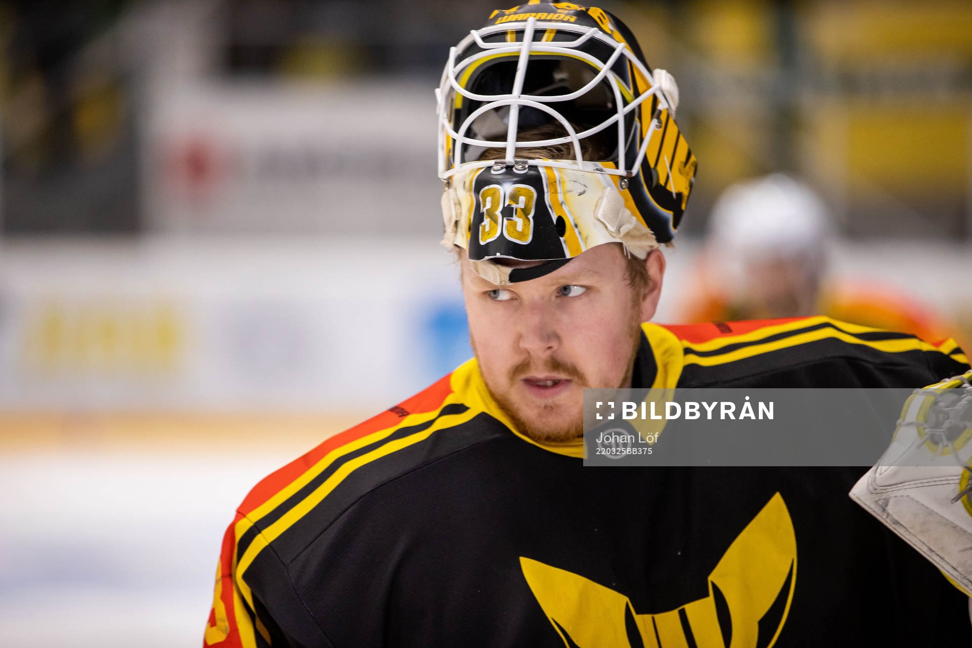 Västerås målvakt Linus Ryttar